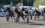 Bild från travets värld