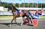 Bild från travets värld