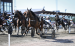 Bild från travets värld