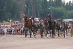 Bild från travets värld