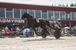 Bild från travets värld