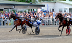 Bild från travets värld