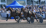Bild från travets värld