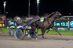 Bild från travets värld
