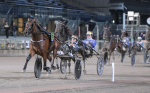 Bild från travets värld
