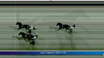 Bild från travets värld