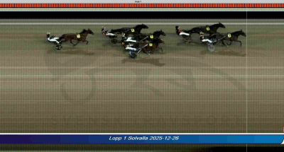 Bild från travets värld