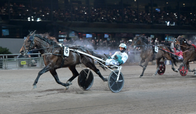 Bild från travets värld