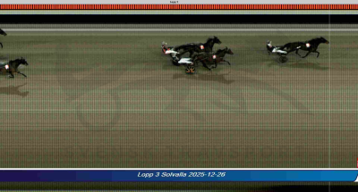 Bild från travets värld