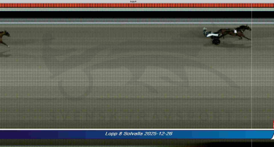 Bild från travets värld