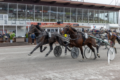 Bild från travets värld