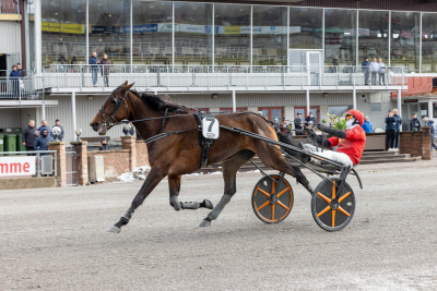 Bild från travets värld