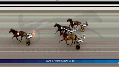 Bild från travets värld