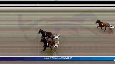 Bild från travets värld