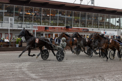 Bild från travets värld