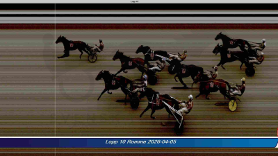 Bild från travets värld