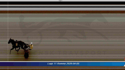 Bild från travets värld