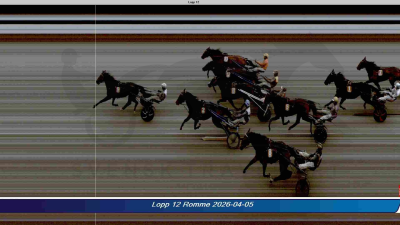 Bild från travets värld