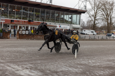 Bild från travets värld