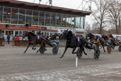 Bild från travets värld