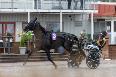 Bild från travets värld