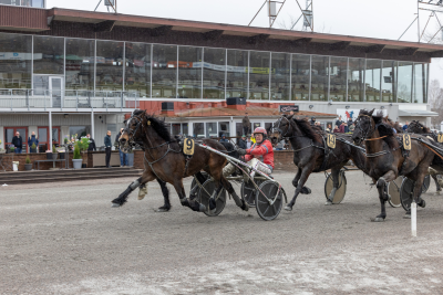 Bild från travets värld