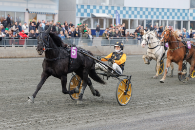 Bild från travets värld