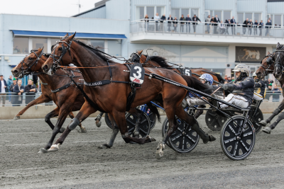 Bild från travets värld