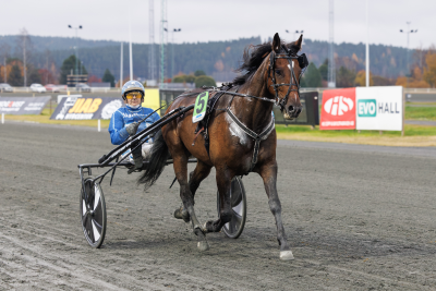 Bild från travets värld