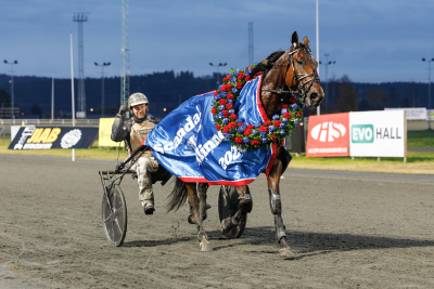 Bild från travets värld