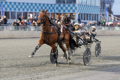 Bild från travets värld