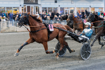 Bild från travets värld