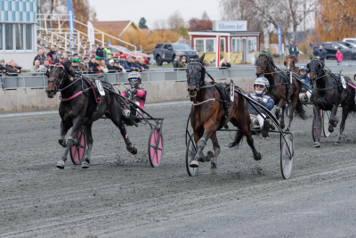 Bild från travets värld