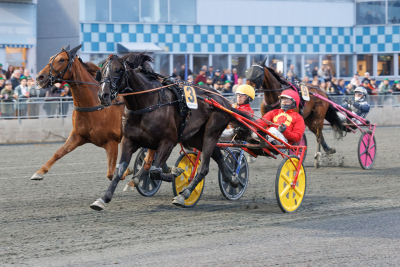 Bild från travets värld