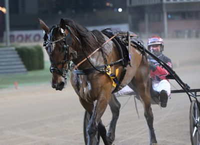 Bild från travets värld