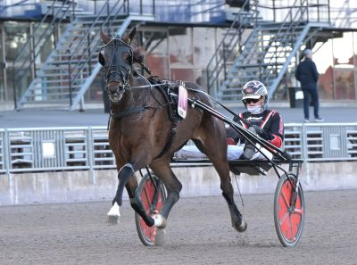 Bild från travets värld