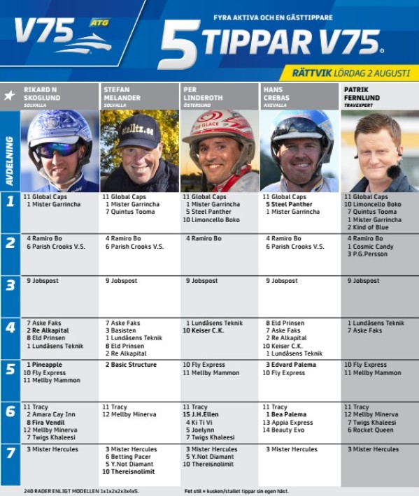 Fem tippar V75