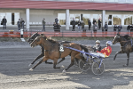 Bild från travets värld