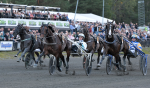 Bild från travets värld
