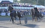 Bild från travets värld