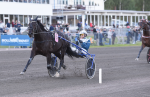 Bild från travets värld