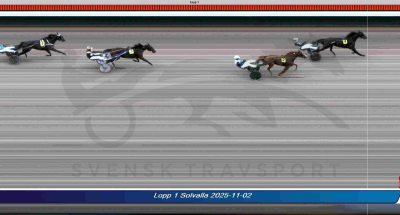 Bild från travets värld