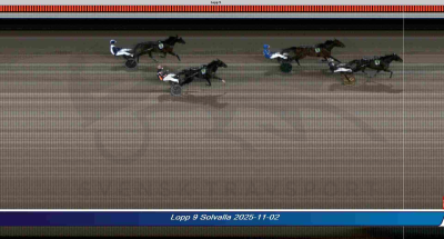 Bild från travets värld