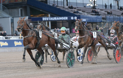 Bild från travets värld