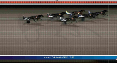 Bild från travets värld