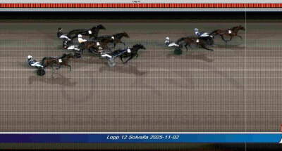 Bild från travets värld