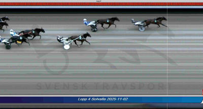 Bild från travets värld