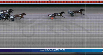 Bild från travets värld