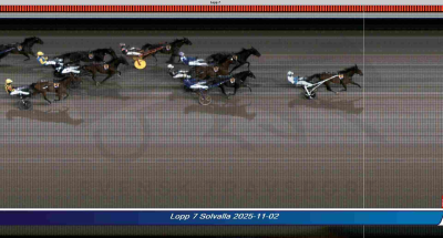 Bild från travets värld