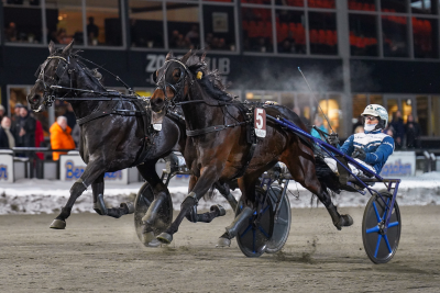 Bild från travets värld